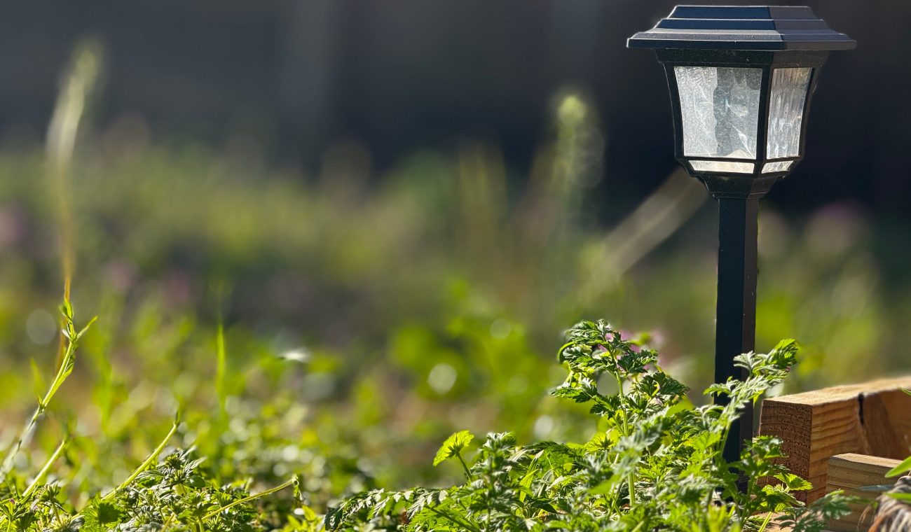 How Path Lights Can Transform the Way You Experience Your Home